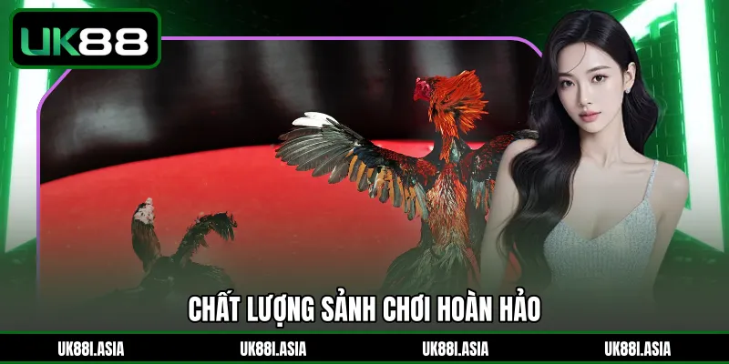 Chất lượng sảnh chơi hoàn hảo 