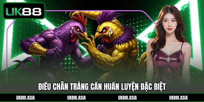 Điều chân trắng cần huấn luyện đặc biệt